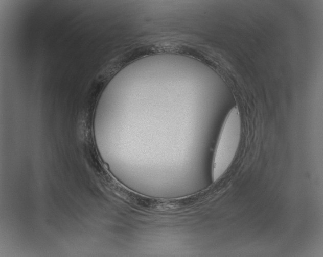 X0000074310599200608251007