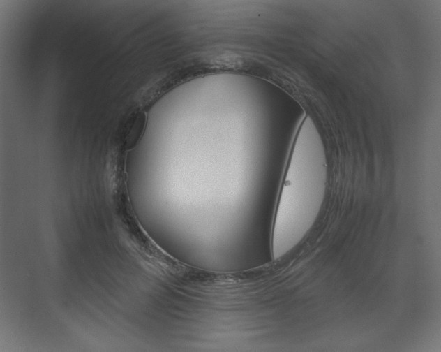 X0000074310600200608251007
