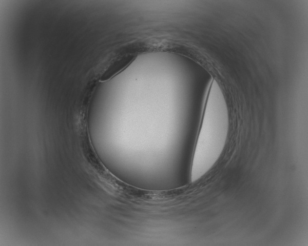 X0000074310601200608251006