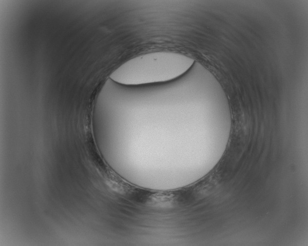X0000074310606200608251006