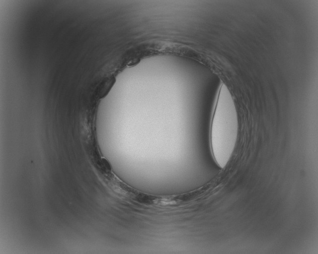 X0000074310607200608251006