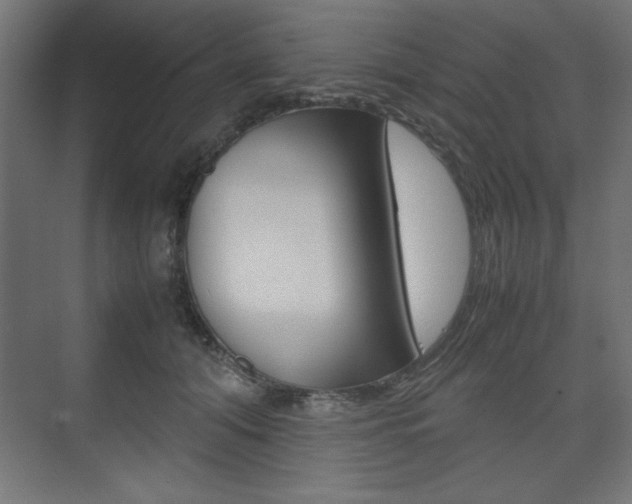 X0000074310608200608251006