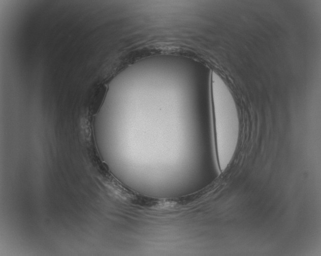 X0000074310609200608251006