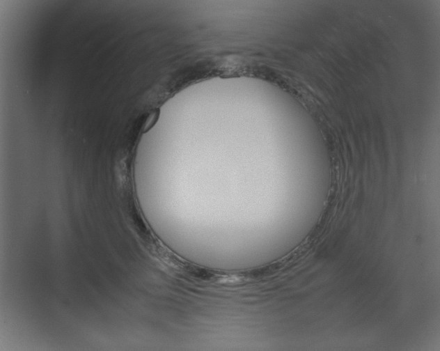 X0000074310611200608251006