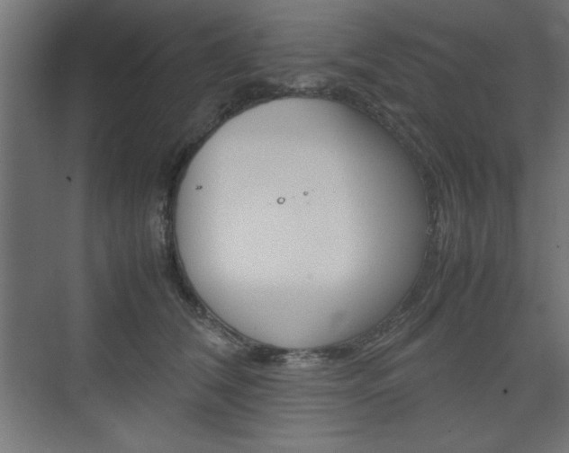 X0000074310612200608251006