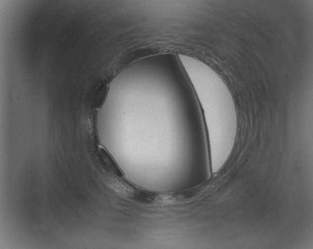 X0000074310613200608251006