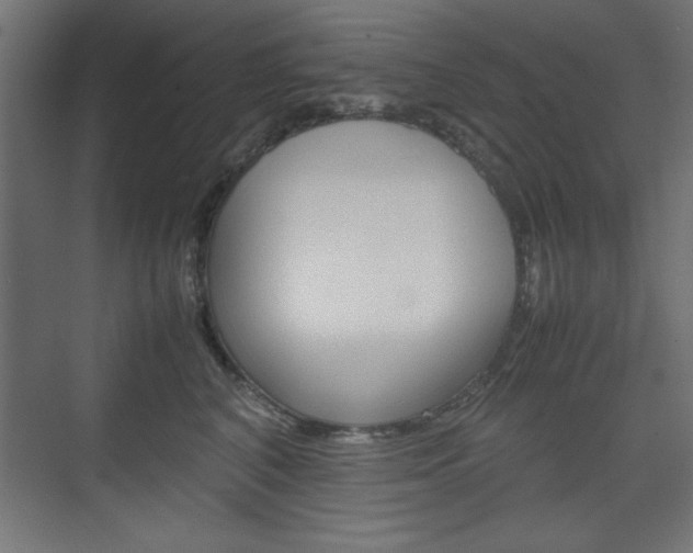 X0000074310616200608251006