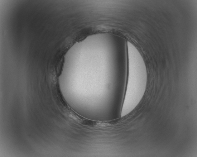 X0000074310617200608251006