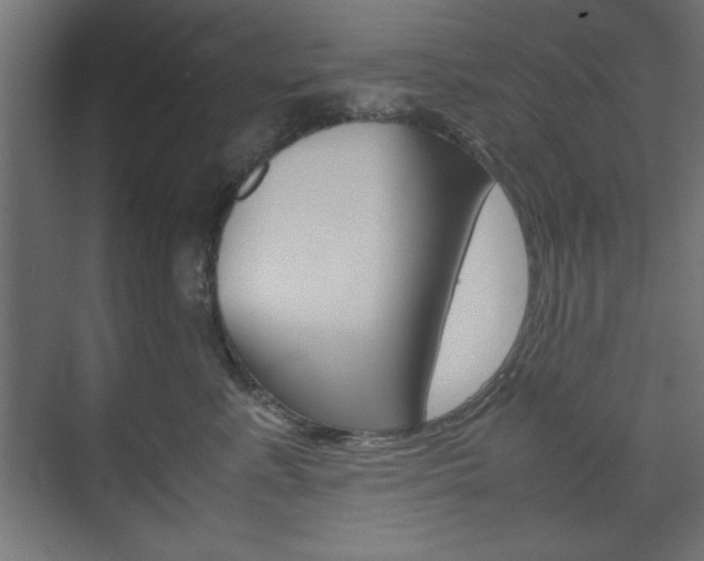 X0000074310619200608251006