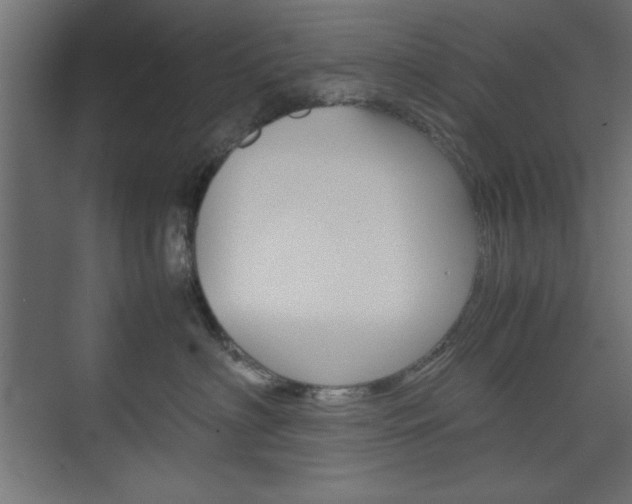 X0000074310622200608251006