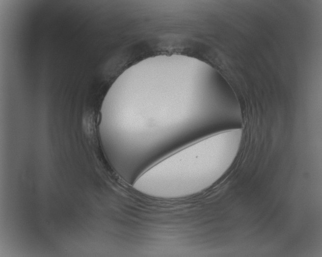 X0000074310623200608251006