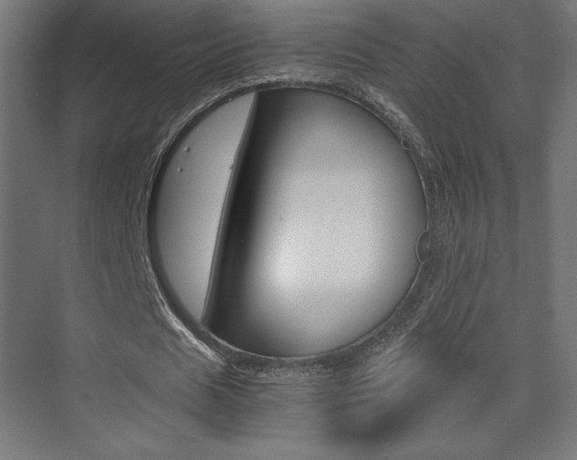 X0000074310625200608251005