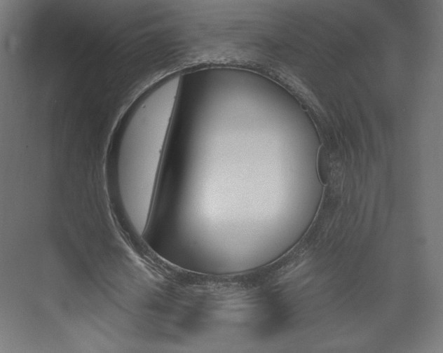 X0000074310626200608251005
