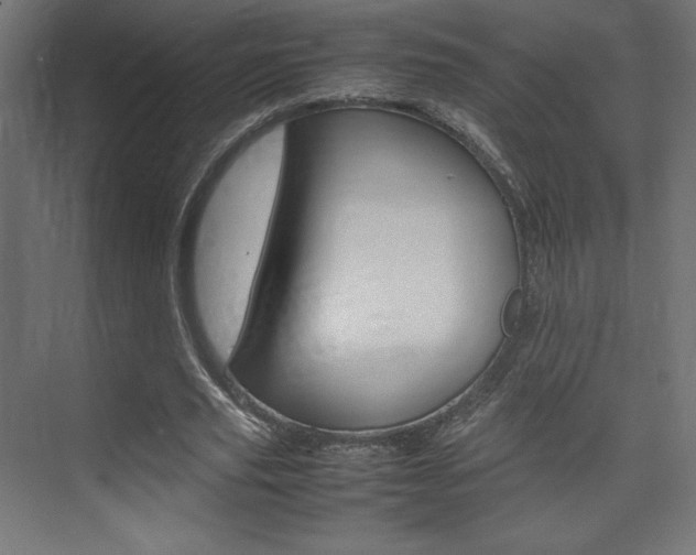 X0000074310629200608251005