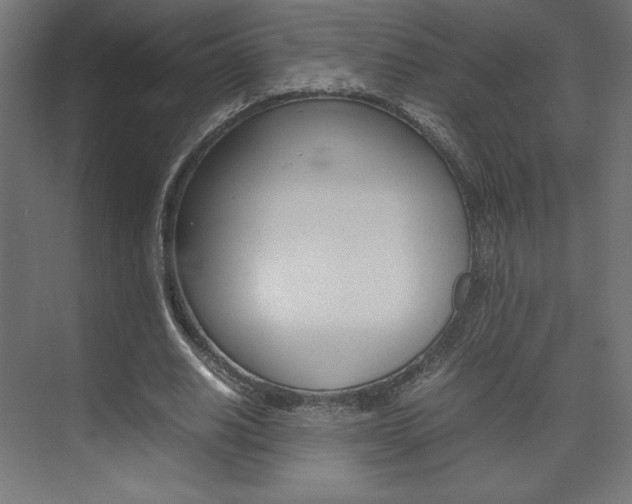 X0000074310630200608251005
