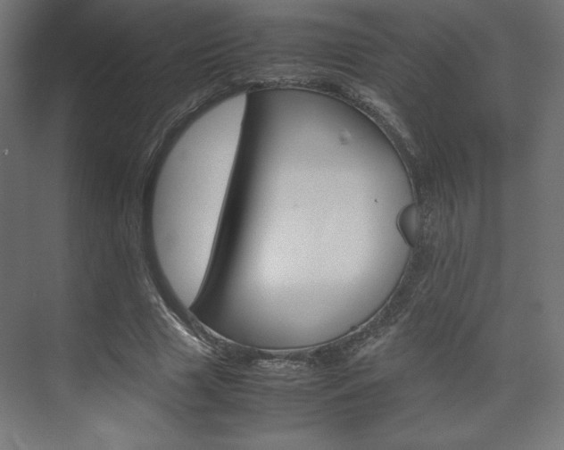 X0000074310633200608251005