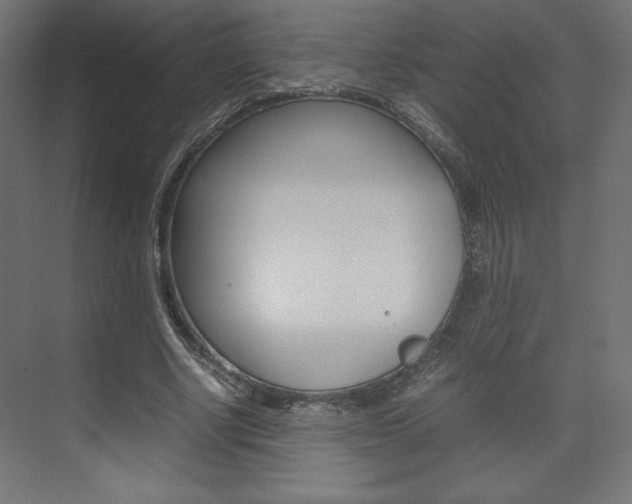 X0000074310634200608251005