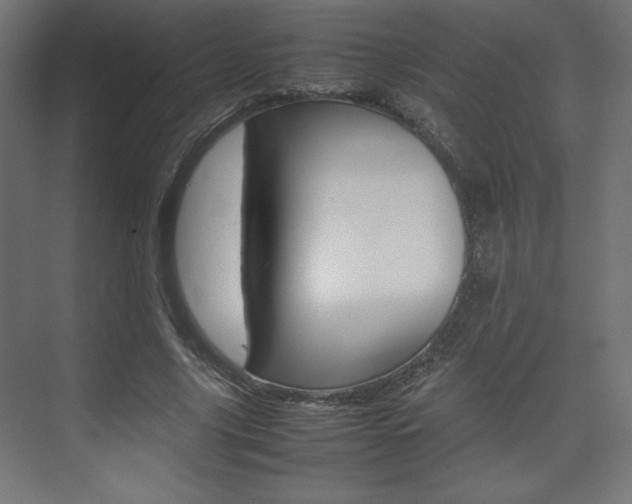 X0000074310635200608251005