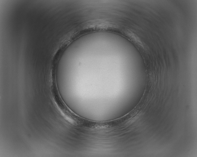 X0000074310638200608251006