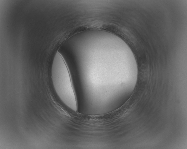X0000074310641200608251006