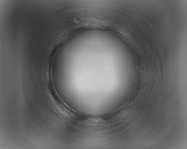 X0000074310642200608251006