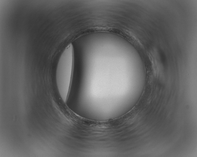 X0000074310643200608251006