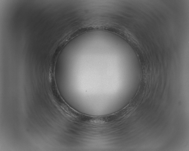 X0000074310644200608251006