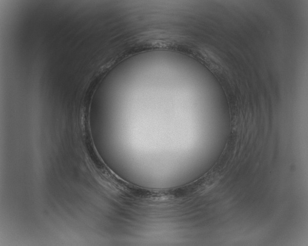 X0000074310646200608251006