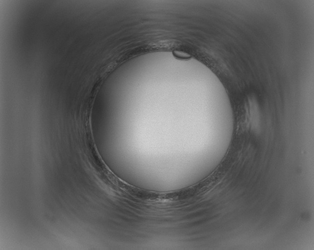 X0000074310647200608251006