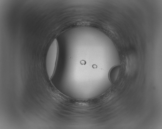 X0000074310649200608251006