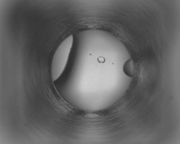 X0000074310650200608251006