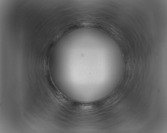 X0000074310651200608251006