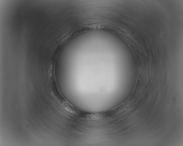 X0000074310652200608251006