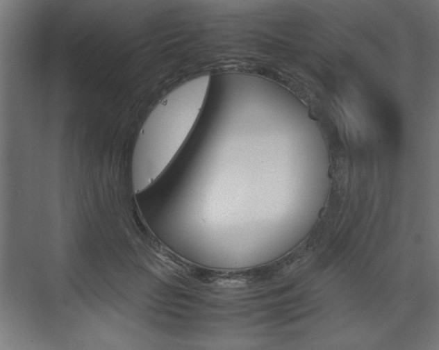 X0000074310653200608251006