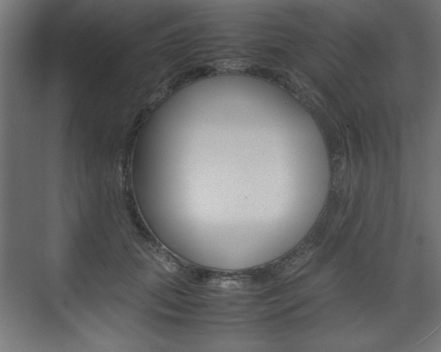 X0000074310655200608251006
