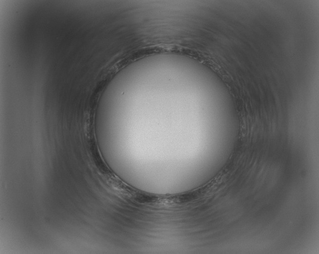 X0000074310656200608251006