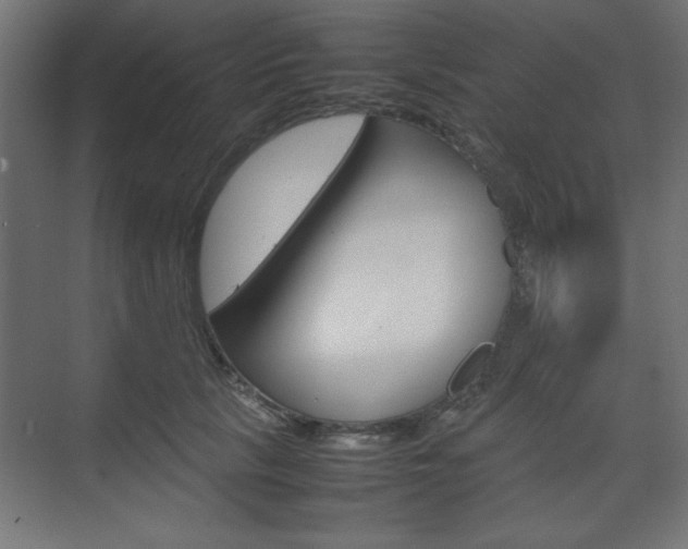 X0000074310657200608251006