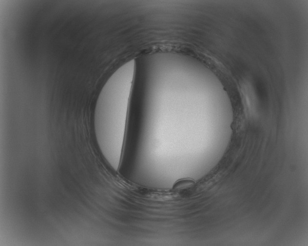 X0000074310661200608251006