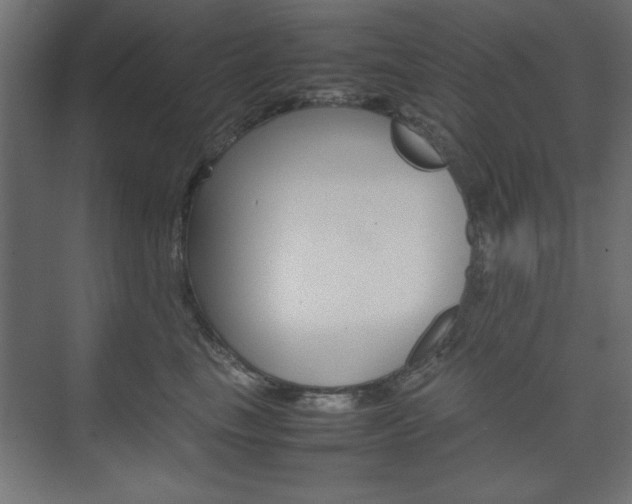 X0000074310665200608251006