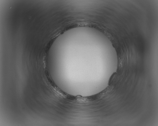 X0000074310666200608251006