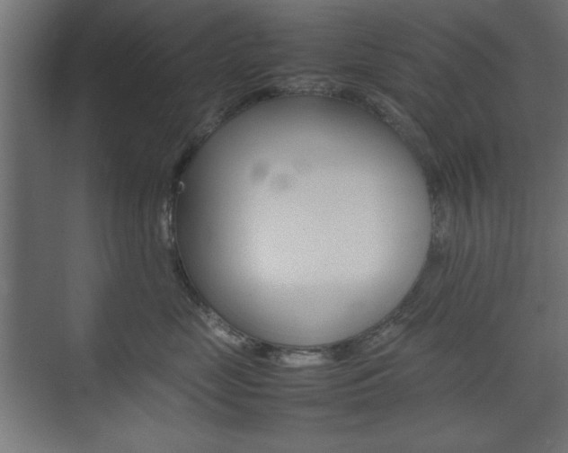 X0000074310669200608251006