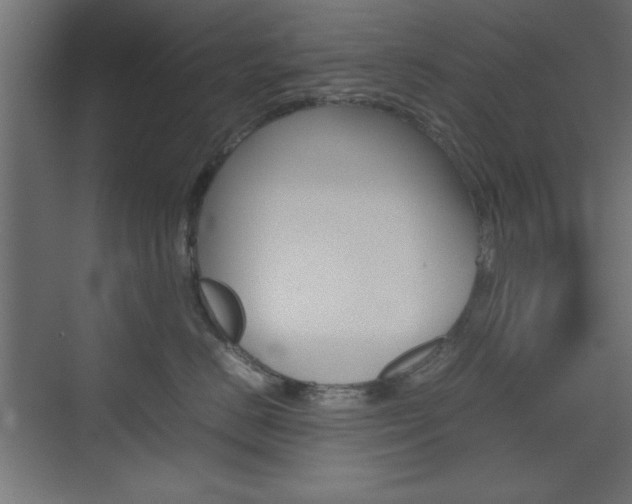 X0000074310670200608251006