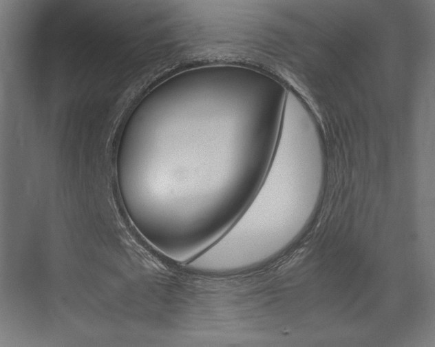 X0000074310673200608251005