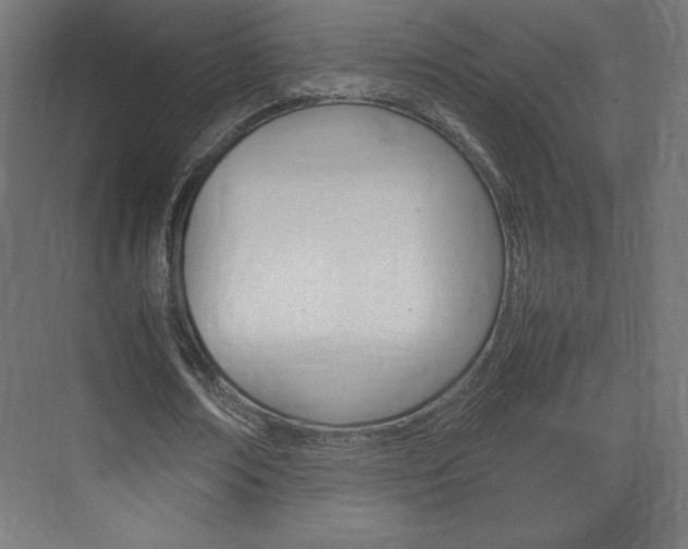 X0000074310674200608251005