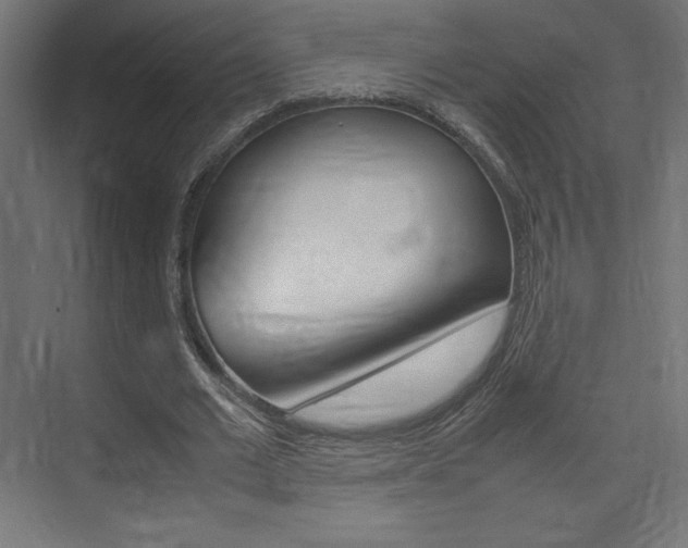 X0000074310677200608251005