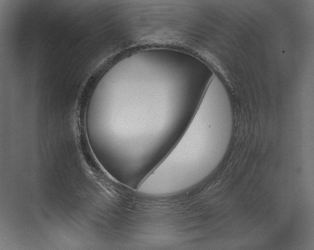 X0000074310680200608251005