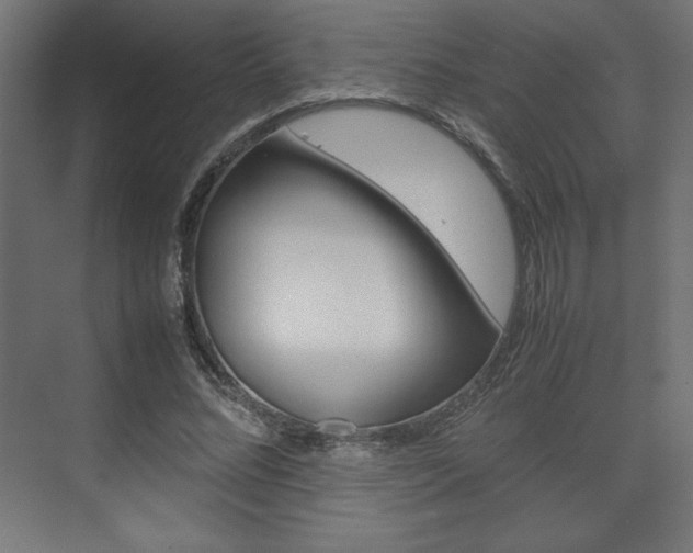 X0000074310684200608251005