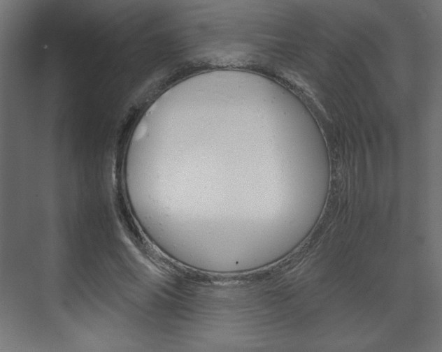 X0000074310686200608251005
