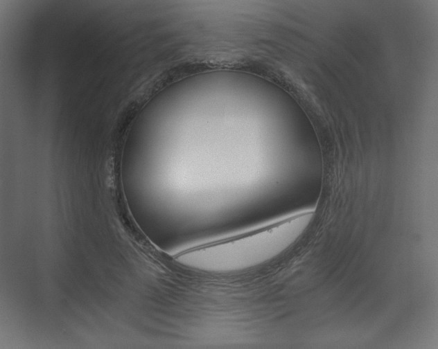 X0000074310689200608251005