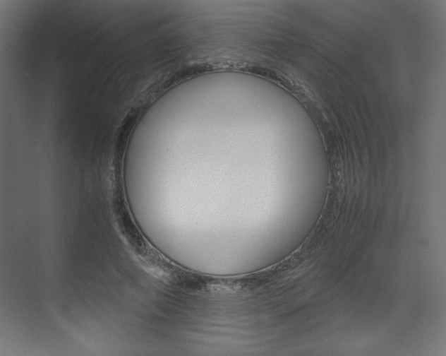 X0000074310690200608251005